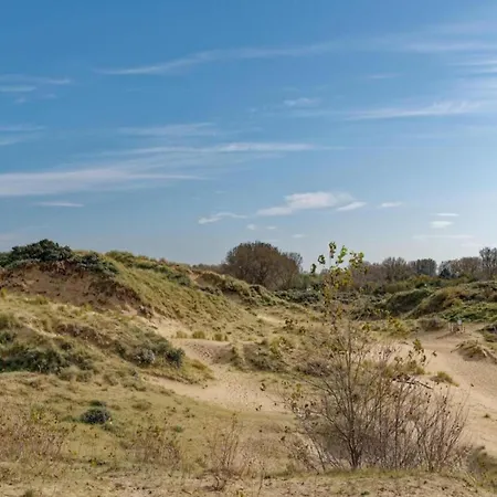 In With Sea Views * Nieuport