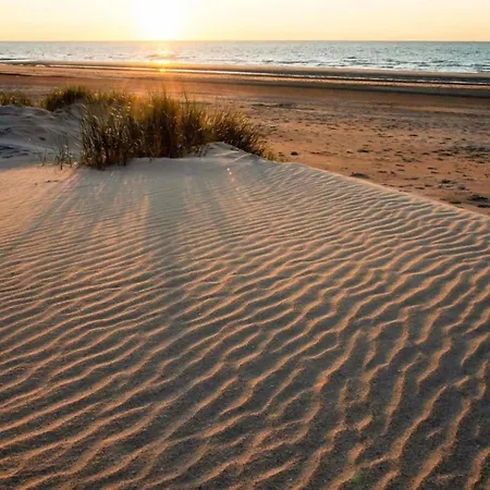 In With Sea Views * Nieuport