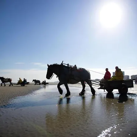 In With Sea Views Διαμέρισμα Nieuwpoort