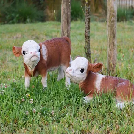 Appartement In With Sea Views Nieuport