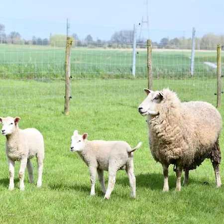 In With Sea Views Διαμέρισμα *